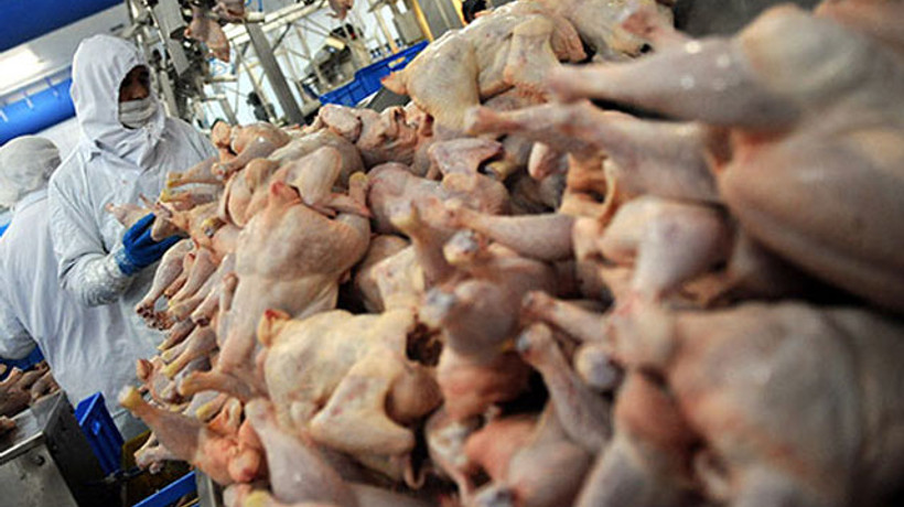 Dev şirket iflas etti!