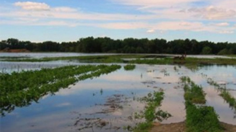 Zarar gören çiftçinin borcu ertelendi