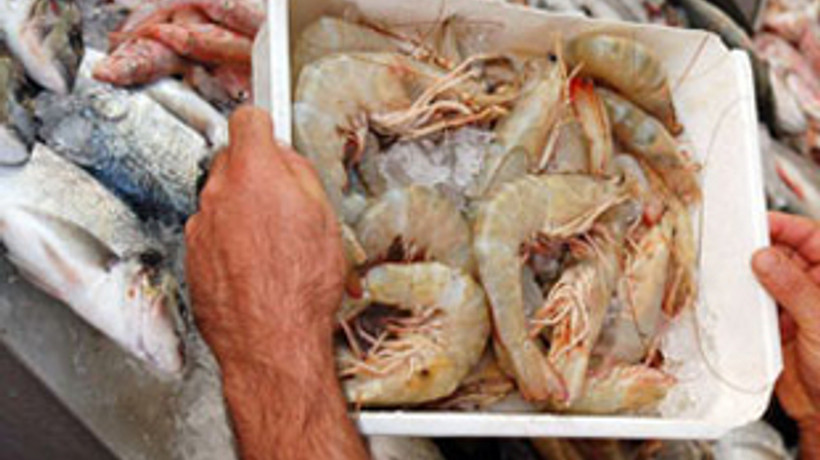 Dünya bulamıyor biz balık yemi yaptık