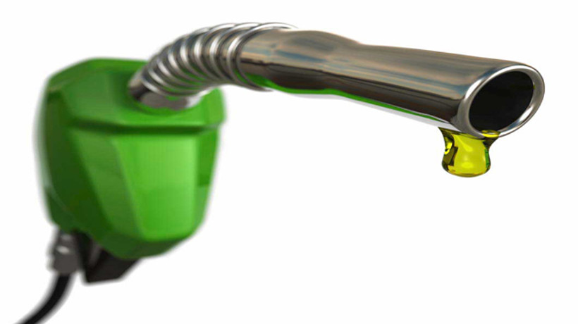 5 şirketin petrol arama isteği reddedildi