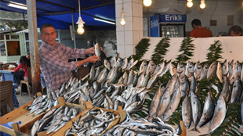 Balık fiyatları ne kadar oldu?