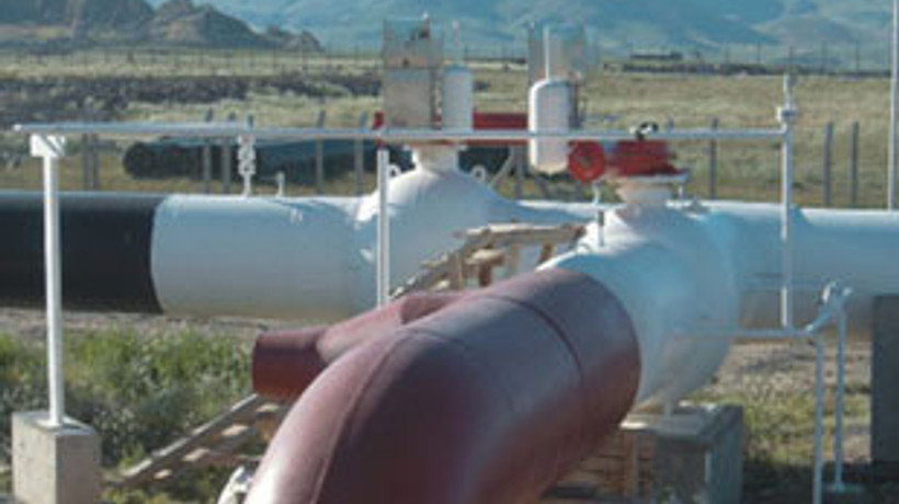 TPAO'nun şirketi BOTAŞ'a devredildi