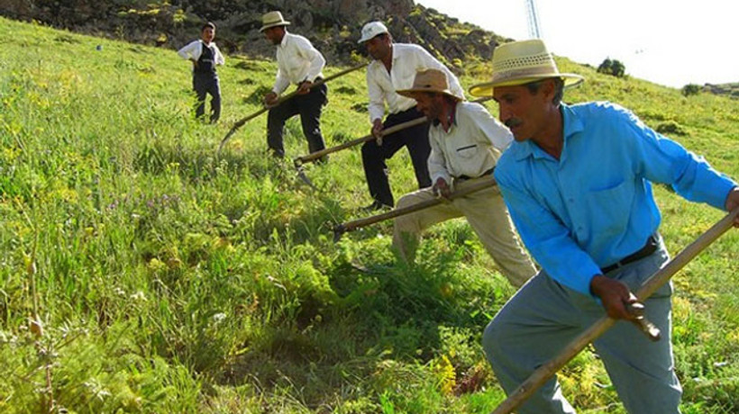 Çiftçilere ne kadar mazot desteği verildi?