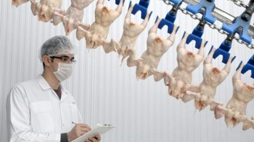 Piliç'in Şeker'i neden eridi?