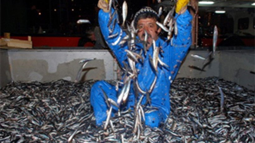 Ucuz balık dönemi bitti! Balık artık el yakacak!