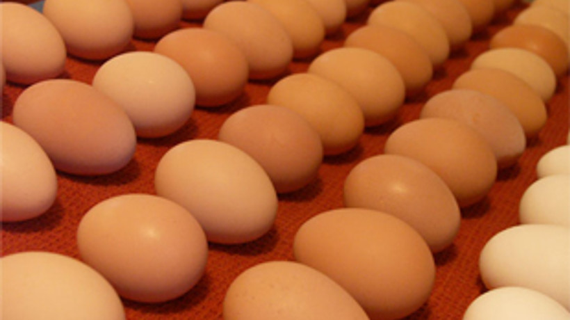 'Bakkal amca' AB'ye uydu!