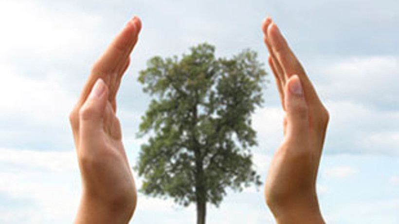 22 bin 500 dekarla hatıra ormanı rekoru kırıldı