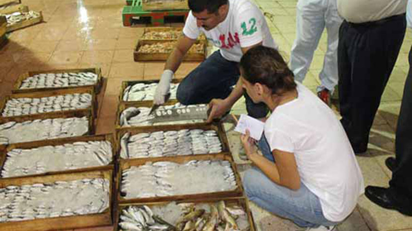 2 bin 300 kilogram balığa el konuldu
