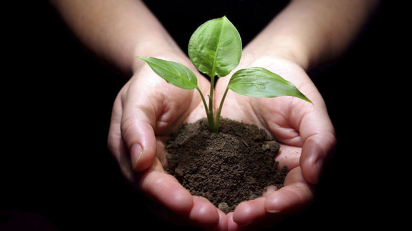 TZOB: Toprak analizi yaptırma süresi 30 Ekim'e uzatıldı