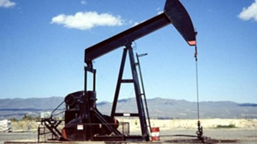 Karadeniz'de servet yatıyor!