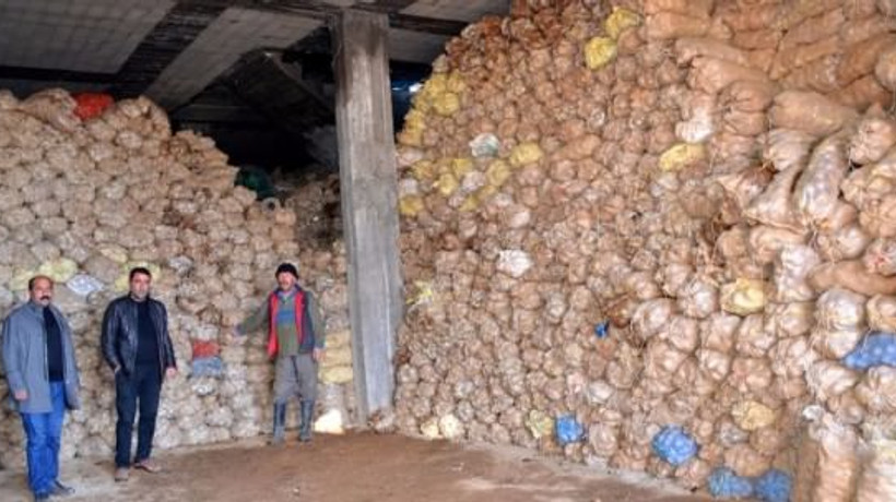 Tonlarca patates terör yüzünden ellerinde kaldı