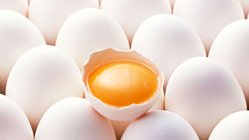 Yumurtada yeni dönem yarın başlıyor