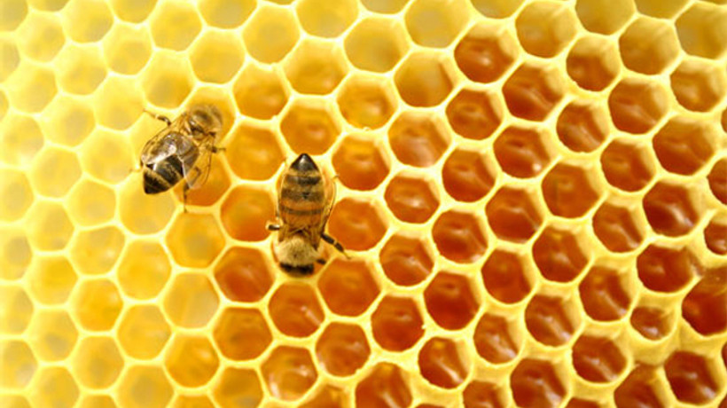 Takviye edici gıdalara yeni düzenleme