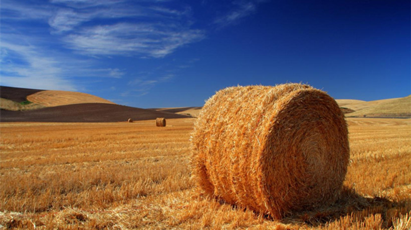 Çiftçilere özel yüzde 50 avantajlı kredi