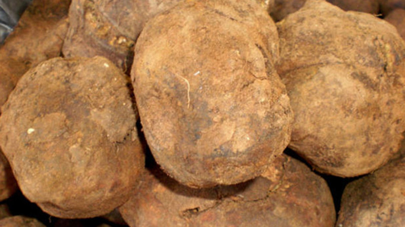 Yer elmasının kilosu 40 lirayı buldu