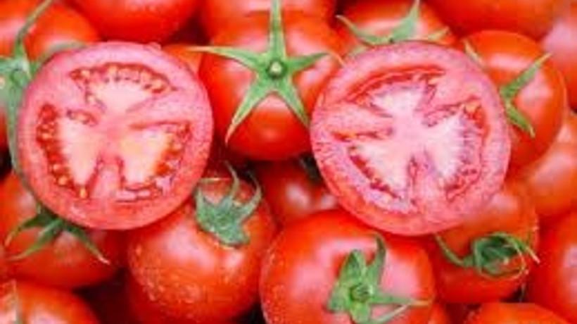 Domates 5, patates 3 lira olacak