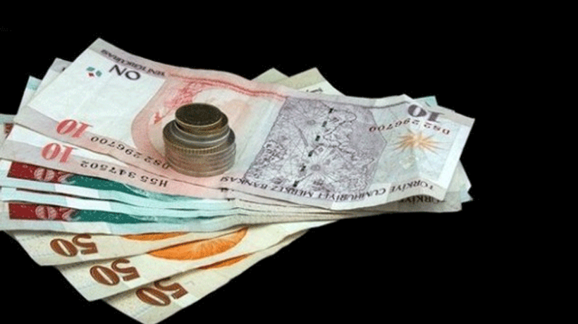 2014'te yeni paralar geliyor!