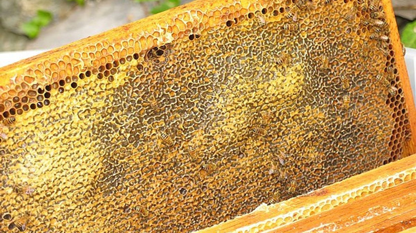 Bu bal altına toz yutturdu!