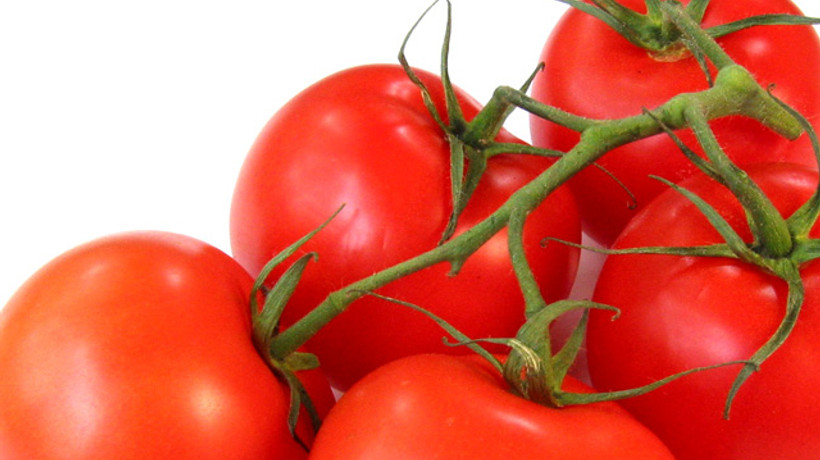 Domates, biber, ZAMlıcan!