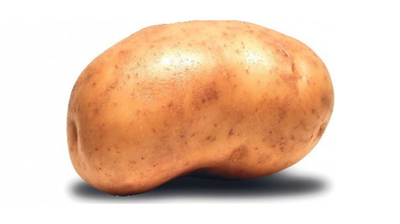 Milli patates planı!