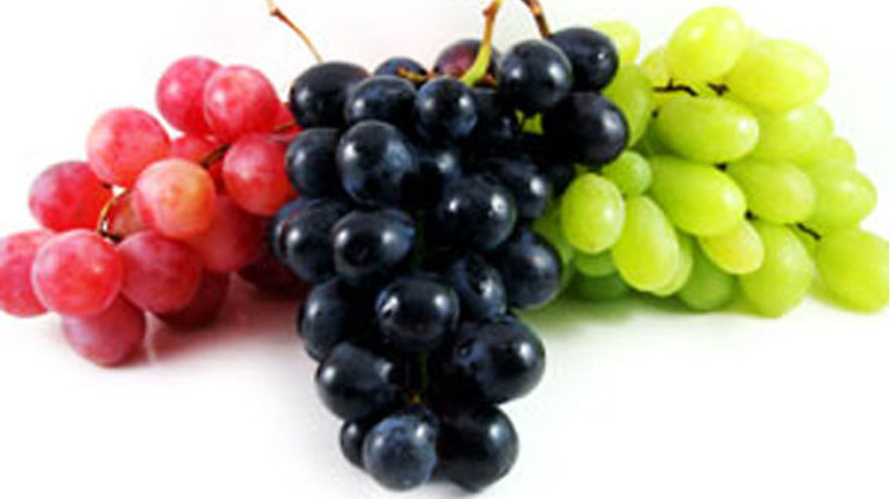 Üzümde hastalık şoku!