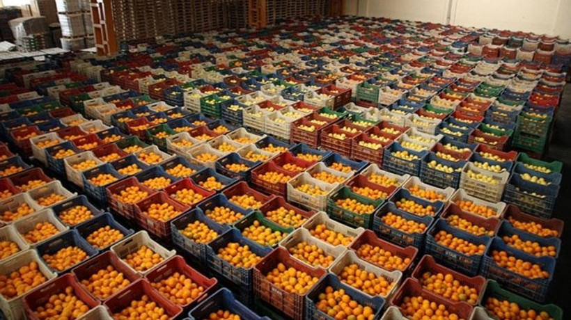 Rus ambargosu kalktı, sebze meyve ihracatı yüzde 30 arttı